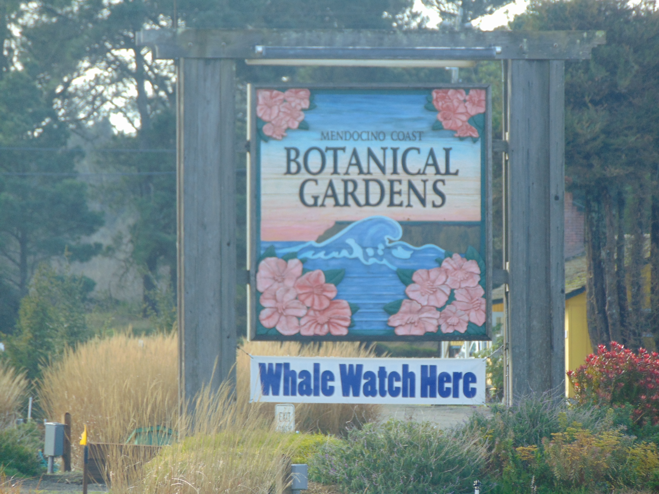 Mendocino Coast Botanical Gardens