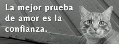 La mejor prueba de amor es la confianza